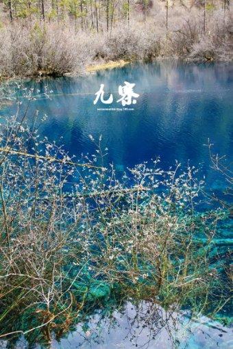 探索知识的现在年轻人不想结婚生子了吗?,专业的问答平台